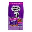 BARKING HEADS Big Foot Puppy Days Turkey 6kg