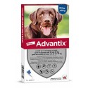 Advantix Spot On 1x4ml pro psy nad 25kg (1 pipeta)