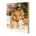 Adventní kalendář pro psy 380g TR